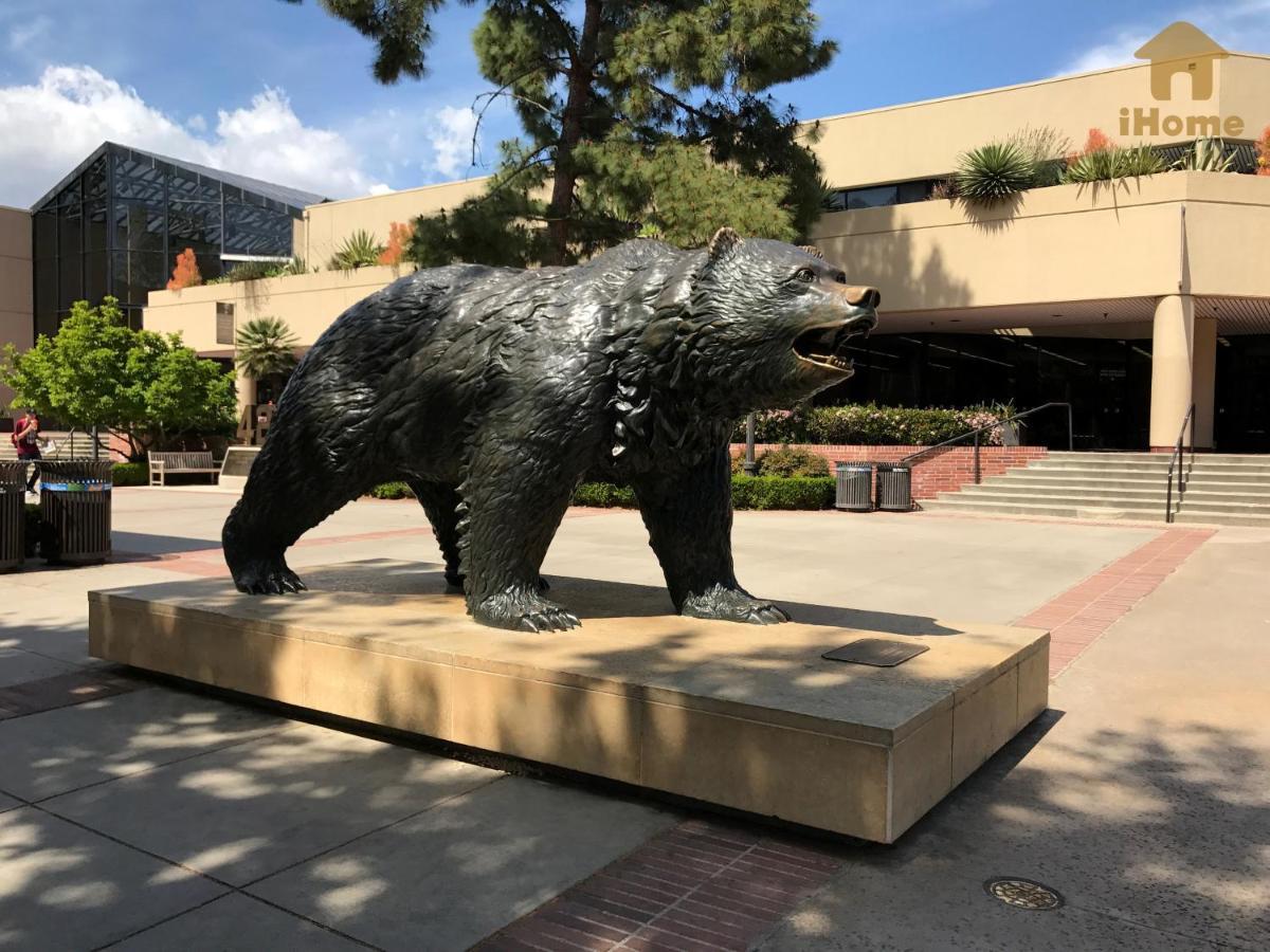 "Resort Style Amenities Walk To Ucla" W Pool & Parking B2 洛杉矶 外观 照片